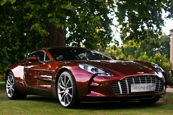 A dark-colored Aston Martin one77 stands on the lawn