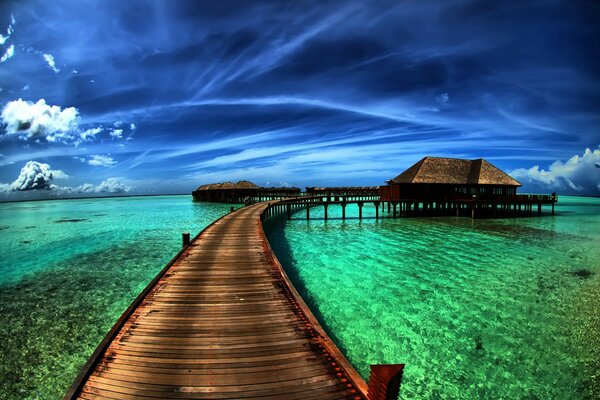 Fascinating marine nature and the beach