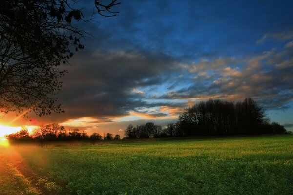 Sonnenaufgang Bild von Feld und Wald