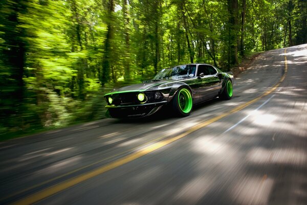 Sports car on the background of a green forest