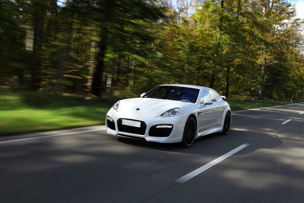 White sports car on the forest highway