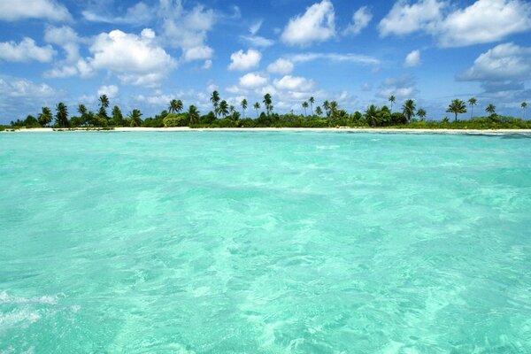 Paesaggio dell isola in mare con palme