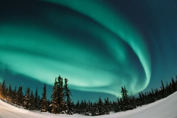 Aurora boreal entre la nieve y la Taiga