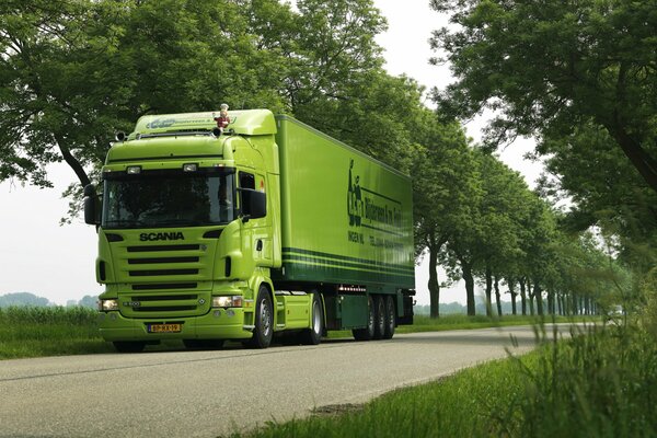 Green scania truck among green trees