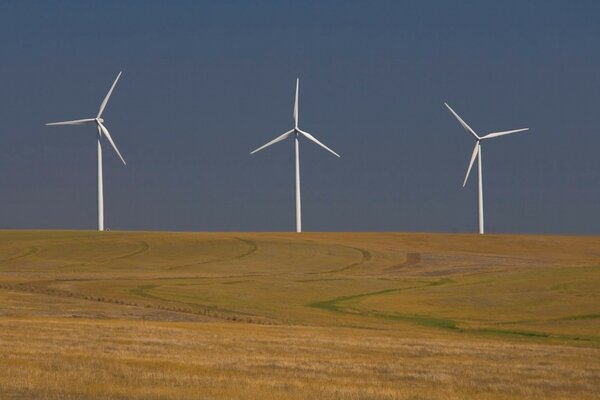 Tres molinos de viento en un campo de trigo