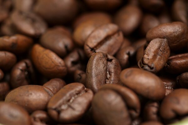 Roasted coffee beans close-up