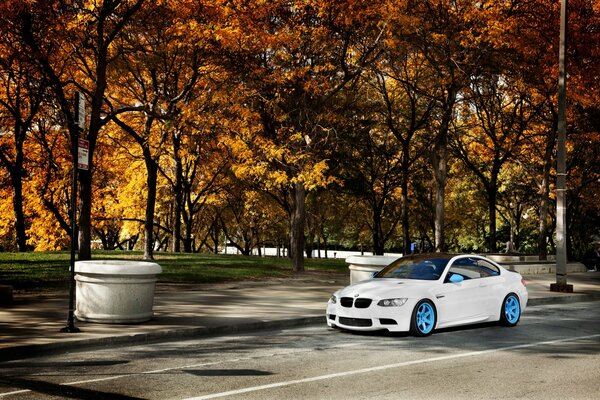 Beautiful autumn landscape with a car