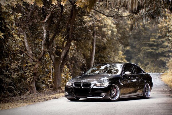 Schwarzer bmw 335i auf der Straße im Wald