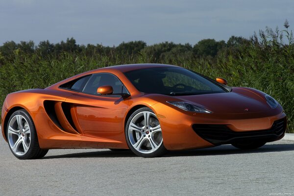 Voiture de sport orange sur fond d arbres