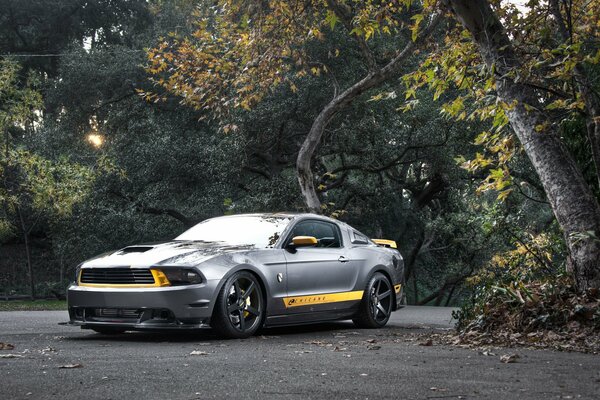 Srebrny Ford Mustang w pobliżu drzewa