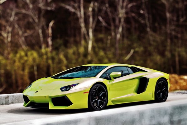 Lamborghini Aventador in hellgrüner Farbe