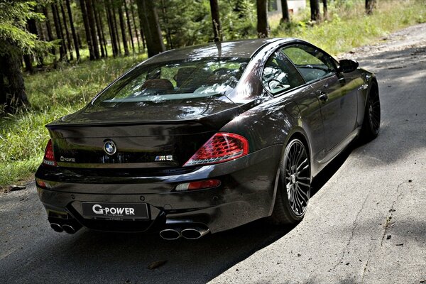 BMW s est arrêté dans la forêt et s est arrêté