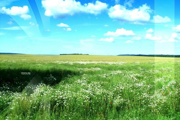 Beautiful sky, green field