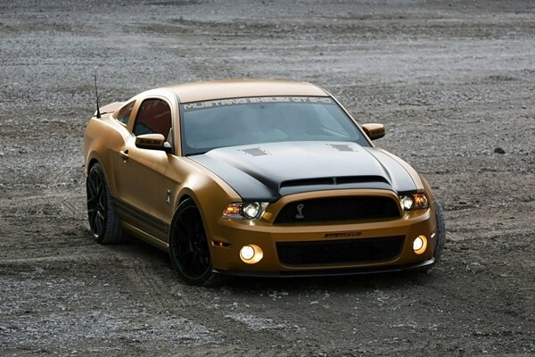 Goldener Ford Mustang auf dem Gelände