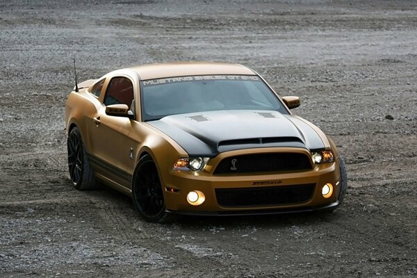 Ford Mustang d or sur le terrain d essai