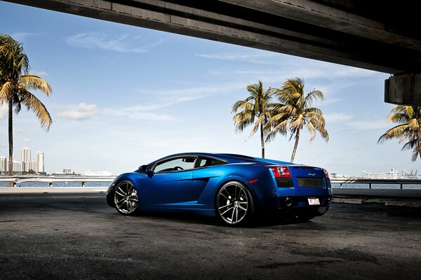 Lamborghini Gallardo azul detrás del fondo de la playa