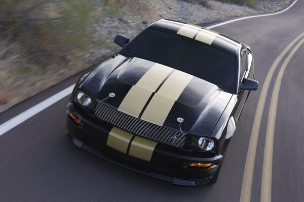 Mustang Shelby GT-puissance, beauté et vitesse sur toutes les routes