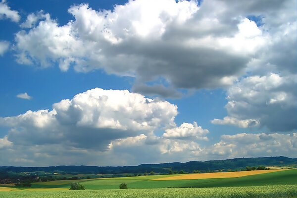 Облака над полем с зеленью и урожаем