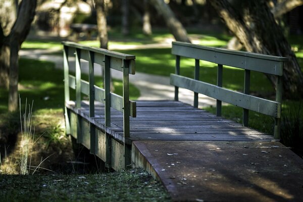 Straße zur Brücke im Park, grüne Gasse, Bäume