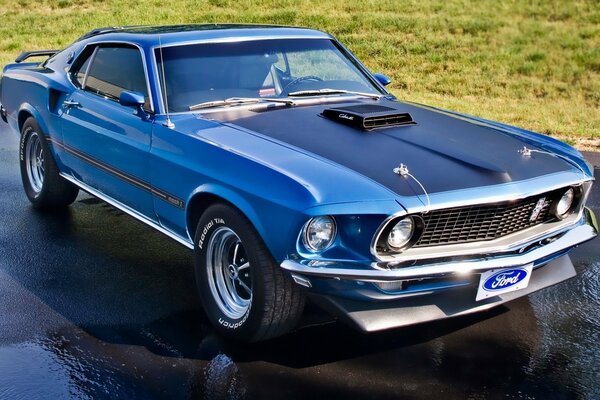 Mustang bleu sur asphalte mouillé