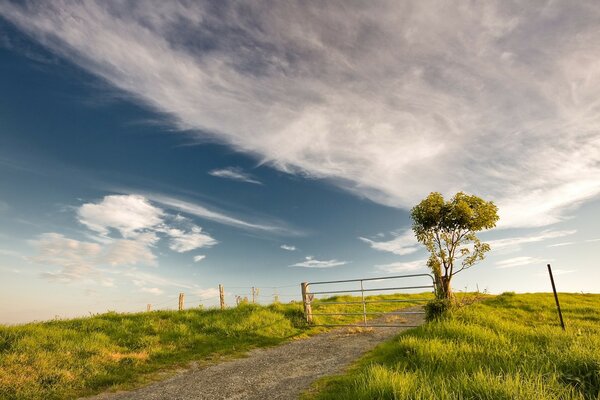 Valla y árbol. Nubes y campo