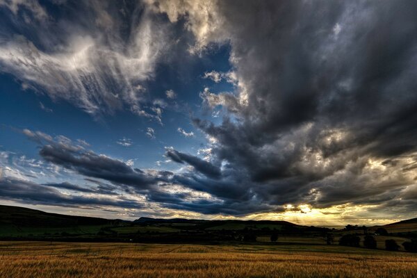 Sky at night in the field