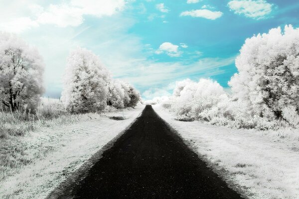 Beautiful blue sky in winter