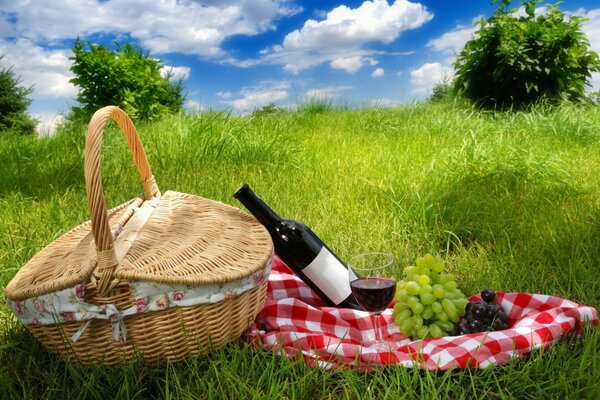 Picknick in der Natur mit Wein und Trauben