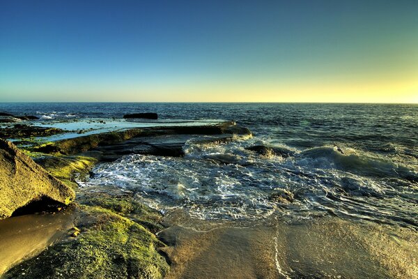 Les vastes étendues de la surface de la mer