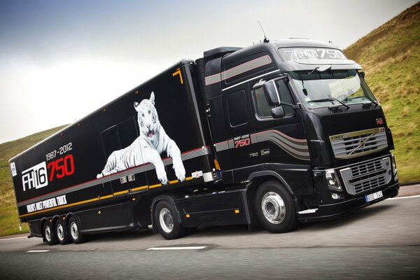 Camión tractor Volvo color negro, con un tigre blanco a bordo