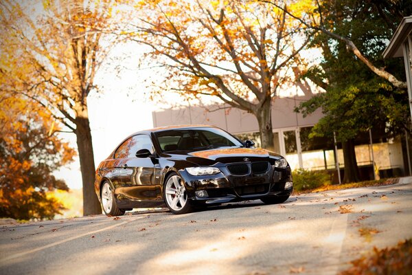 Black bmw on the background of autumn trees