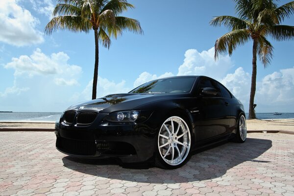 Black tinted BMW with palm trees