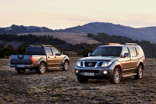 Nissan Pathfinder Navara al amanecer