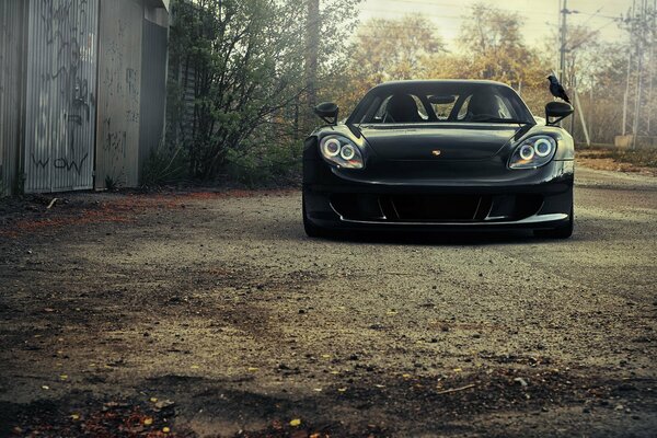 Negro \ pájaro en un Porsche negro