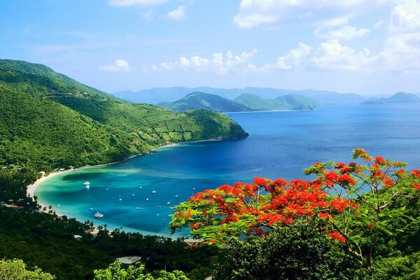 Hermoso mar y costa desde las alturas