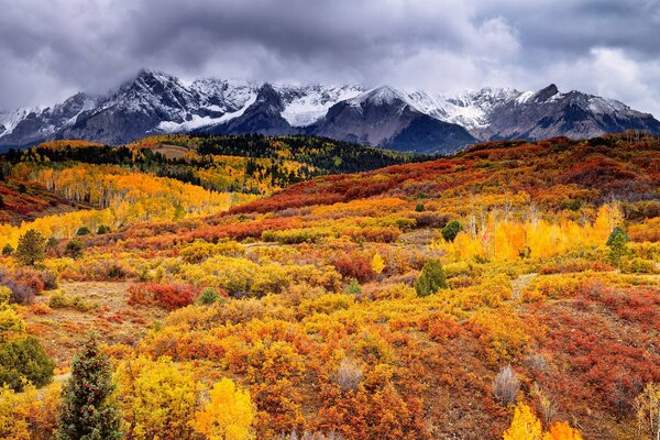Pinturas de otoño dorado en las montañas