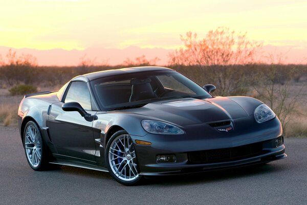 Chevrolet Corvette on the highway in the steppe