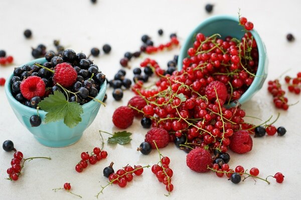 Bacche di lampone e ribes su sfondo bianco