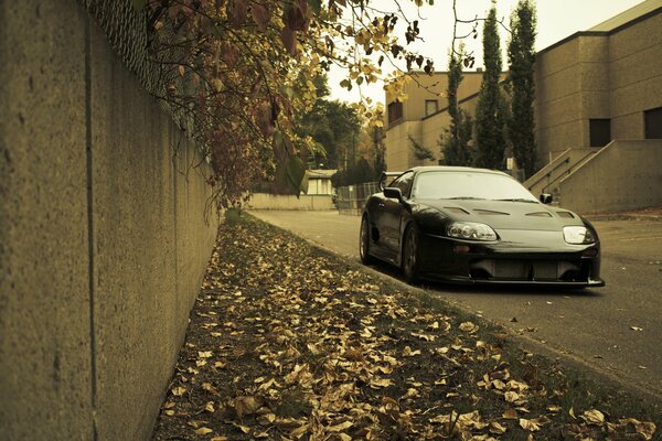 Otoño negro Toyota Supra stands con hojas