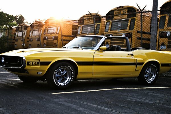 Retro yellow mustang on the road next to yellow buses