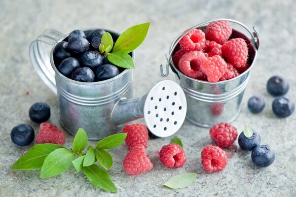 Nützliche Vitamine aus dem eigenen Garten