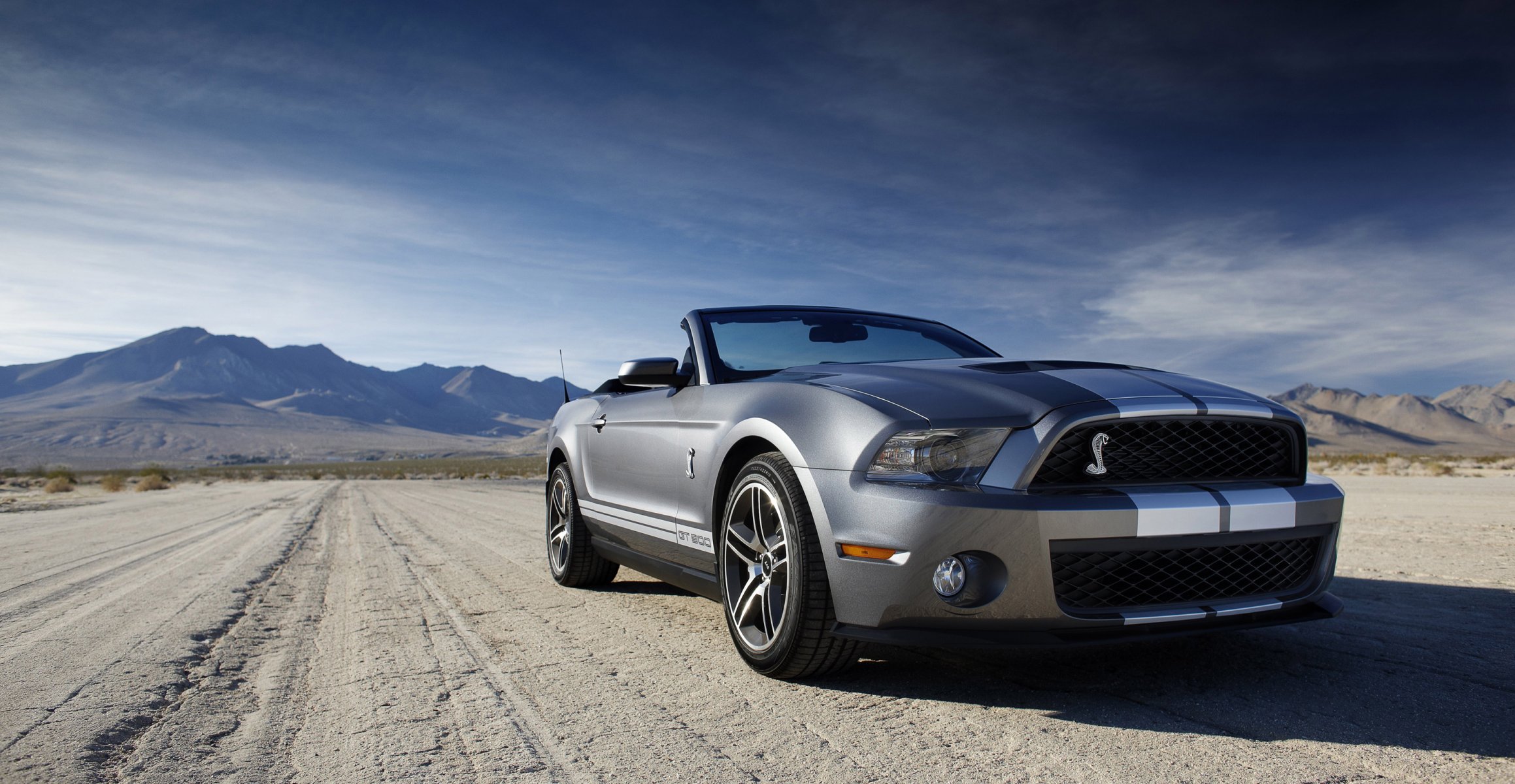 ford mustang shelby convertible