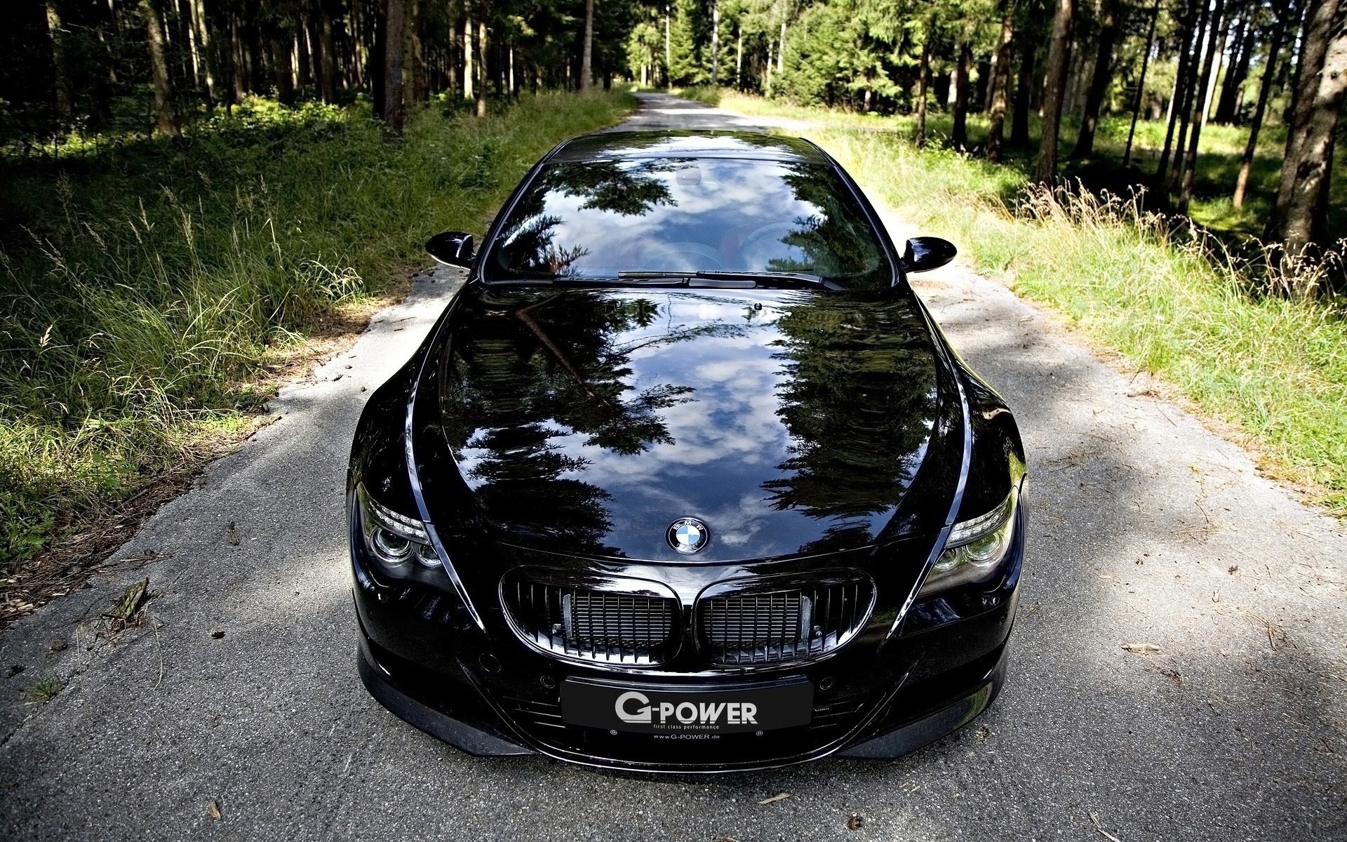 bmw m6 g-power carretera bosque hierba