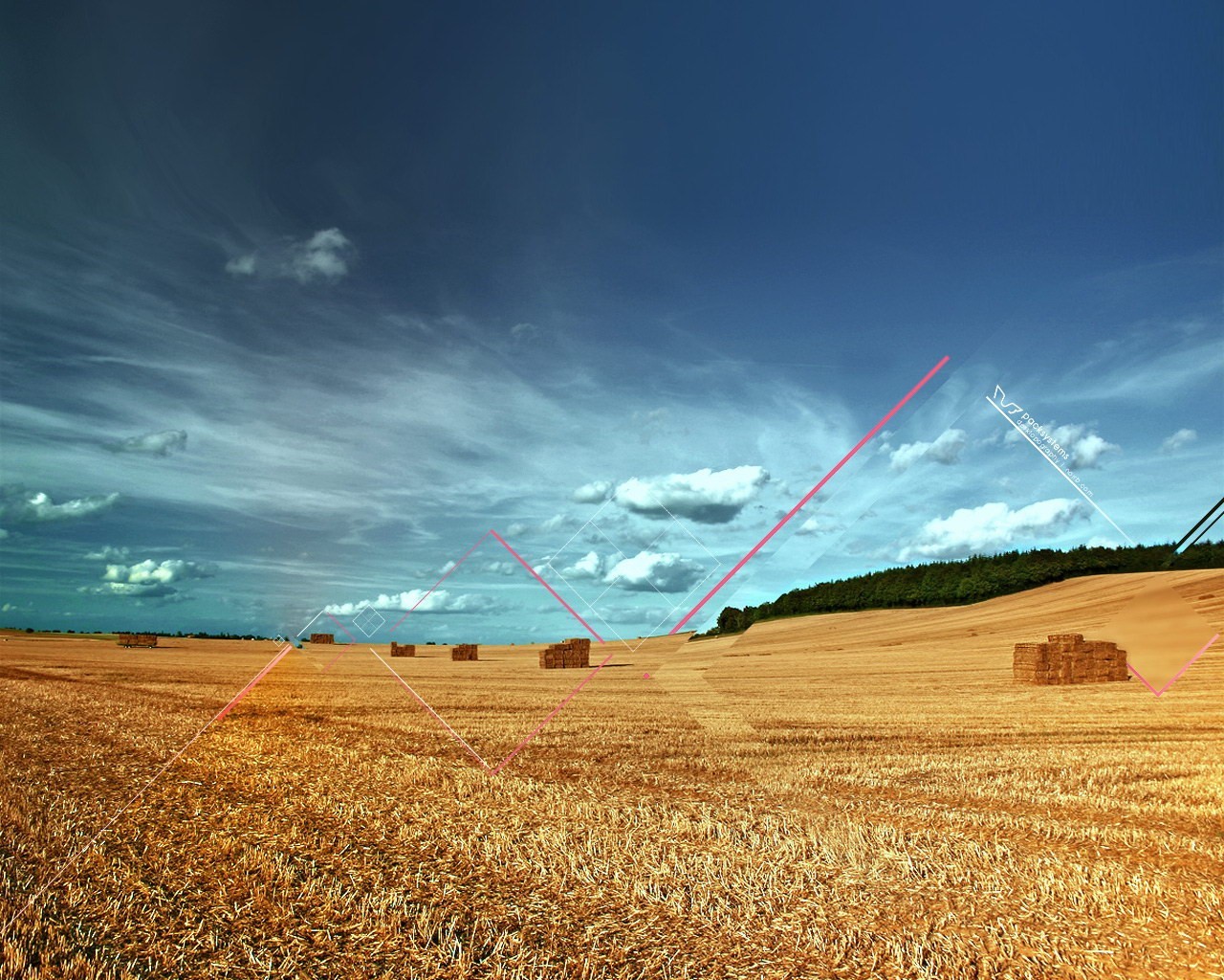 feld ernte linien