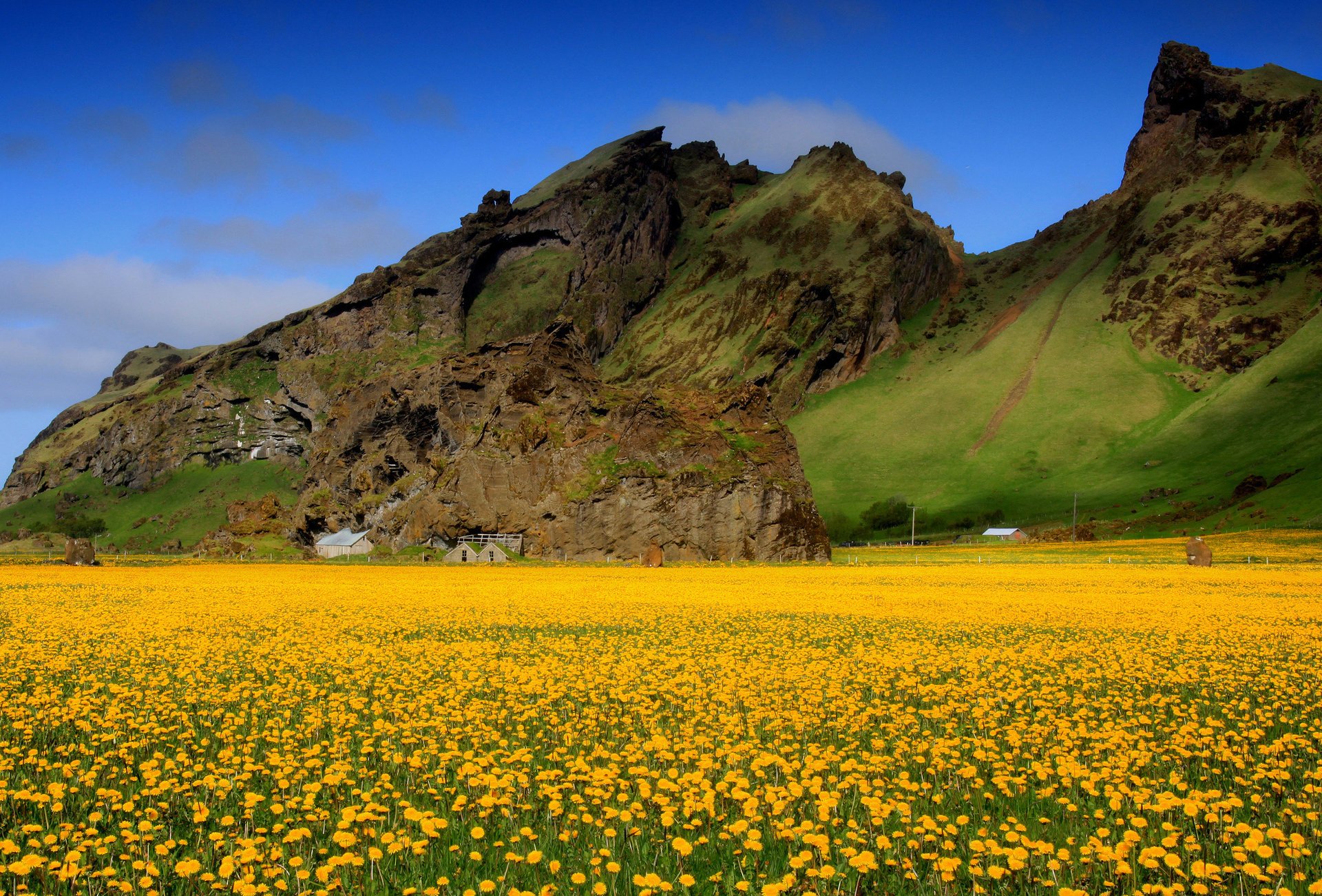 fleurs champ vallée ciel montagnes maisons