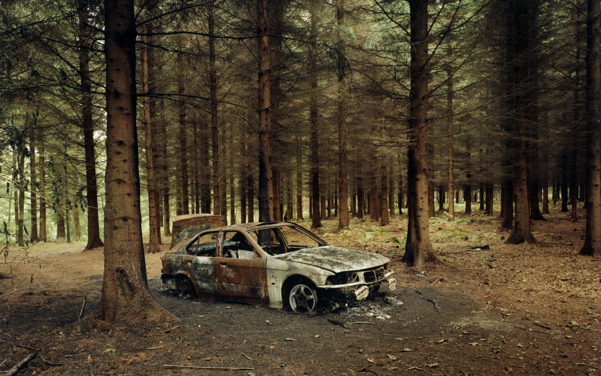 forêt voiture bmw squelette feu