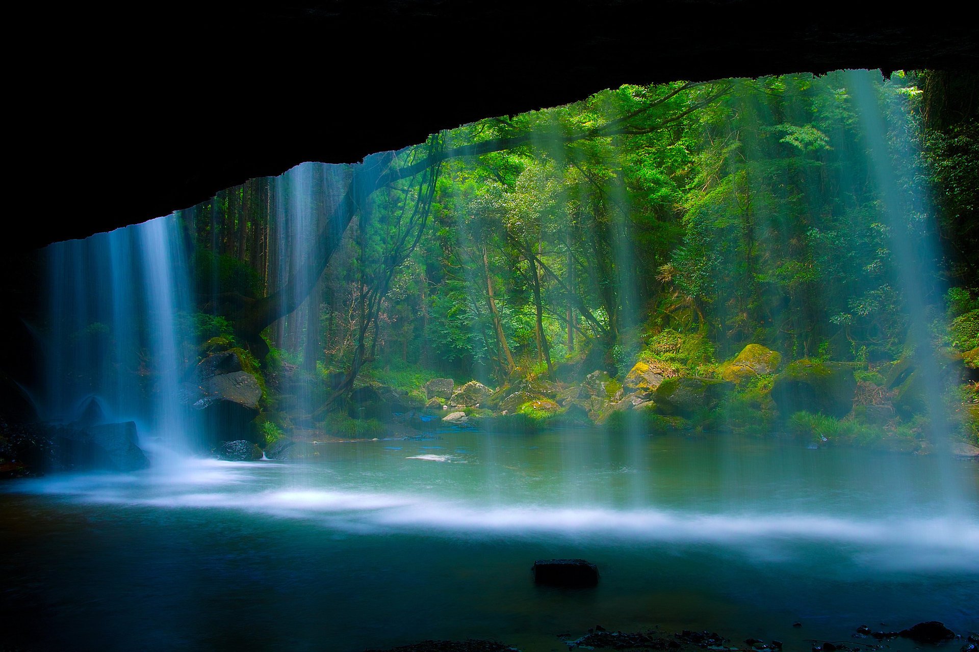 nature cascade forêt rivière rocher