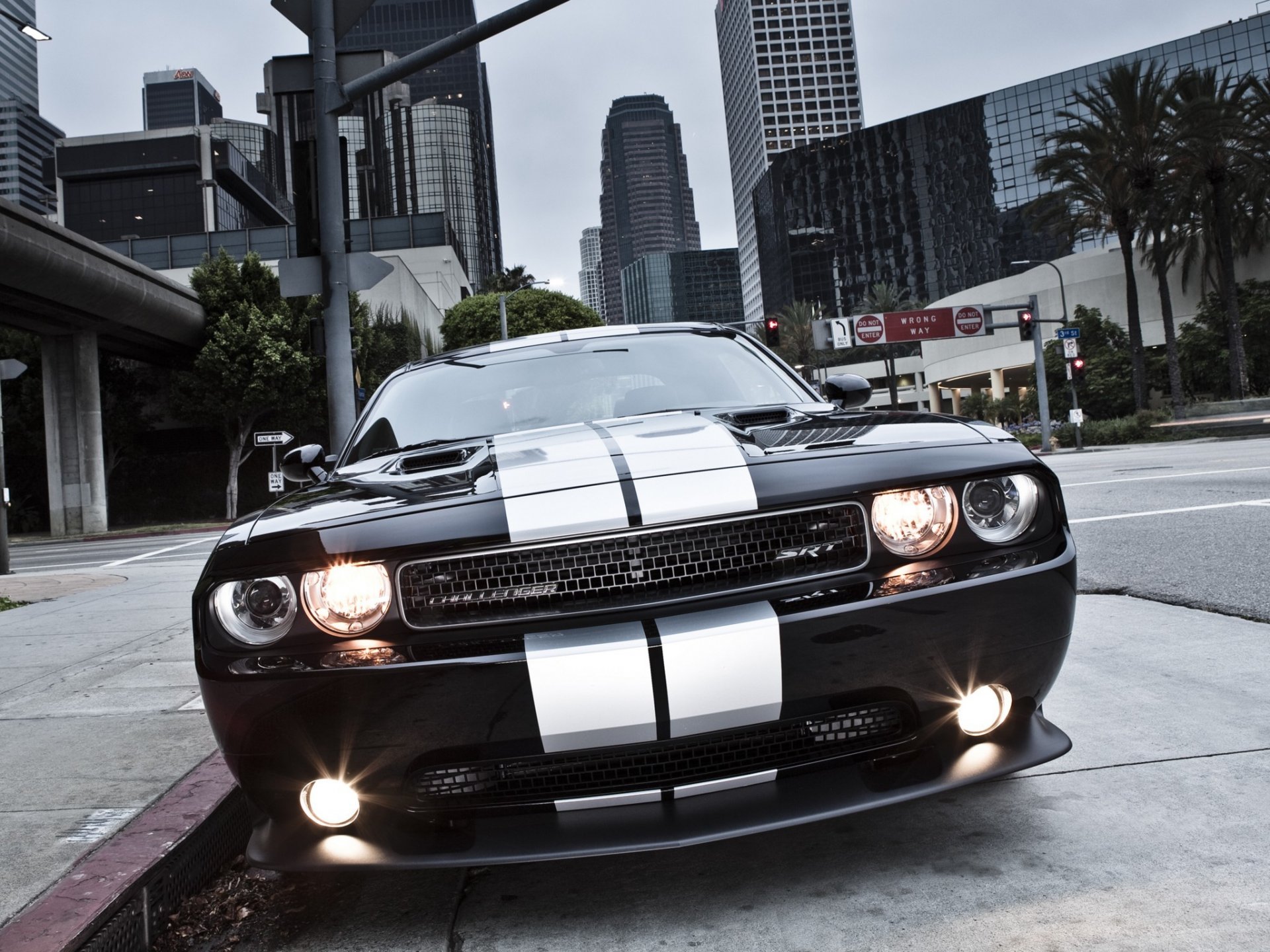 esquivar challenger srt8 dodge challenger srt8 coche del músculo muscle car ciudad tira luces