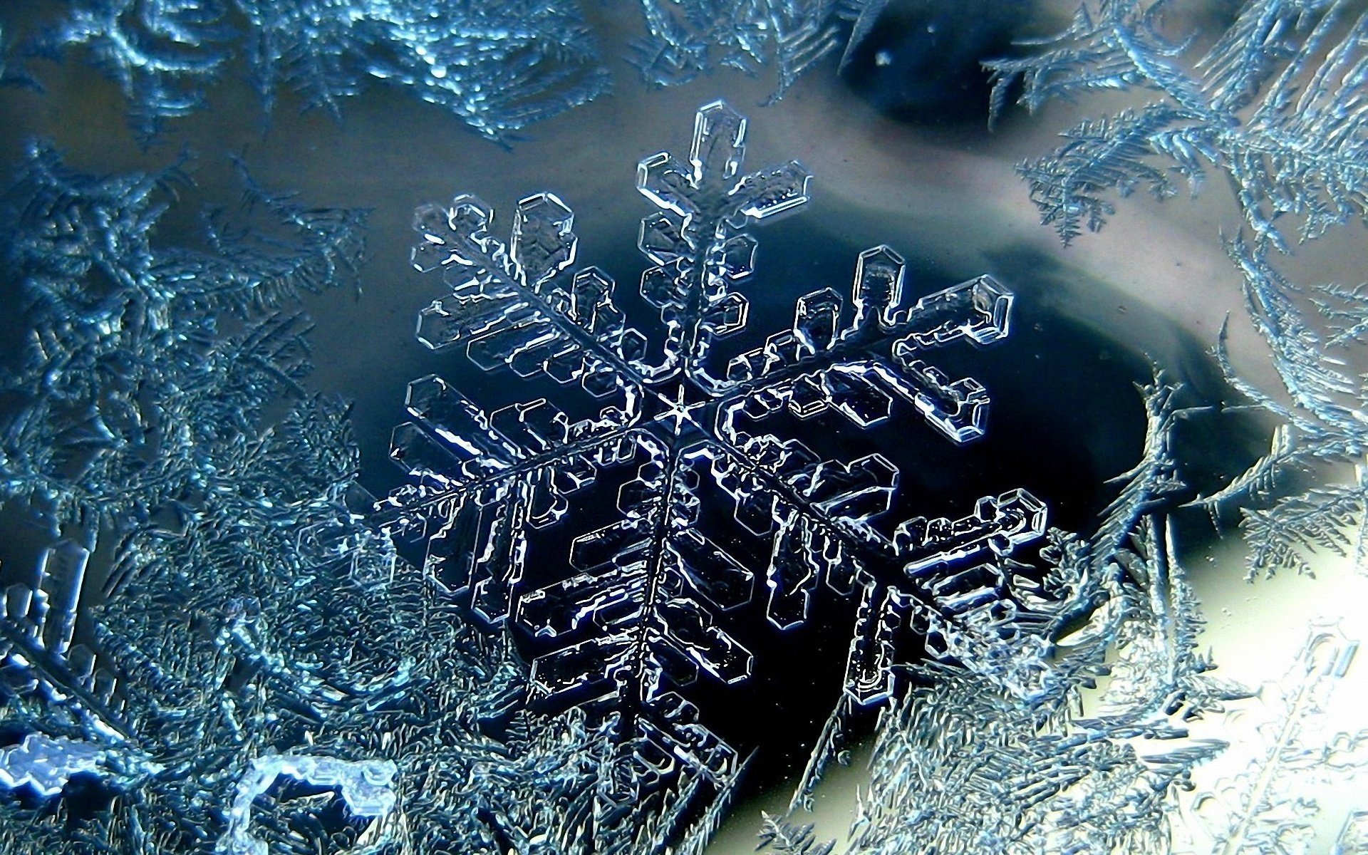 maintenant flocon de neige hiver froid gel