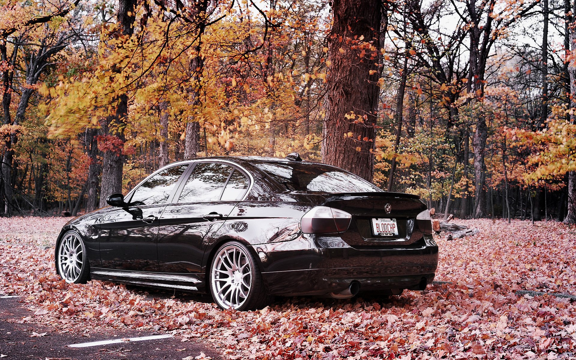 bmw 335i bmw auto tapety samochody samochody